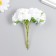 Flowers for decorating "Astra White" 1 bouquet = 6 colors 10 cm