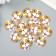 Buttons wood for creativity 2 punctures "puppy" set of 15 pcs 3x3 cm