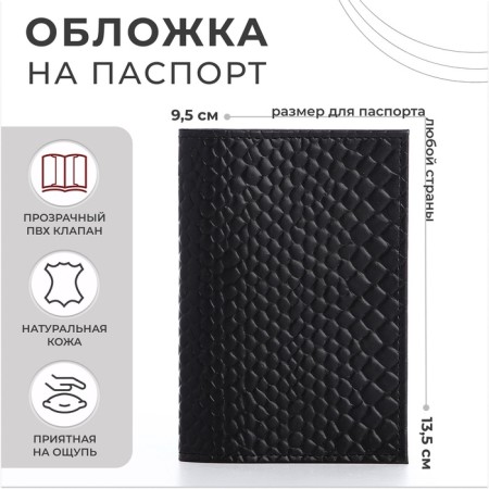 Cover for passport, black color