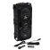 Dialog OSCAR AO-11, 26 W, FM, AUX, USB, BT, microphone, 3600 mAh system
