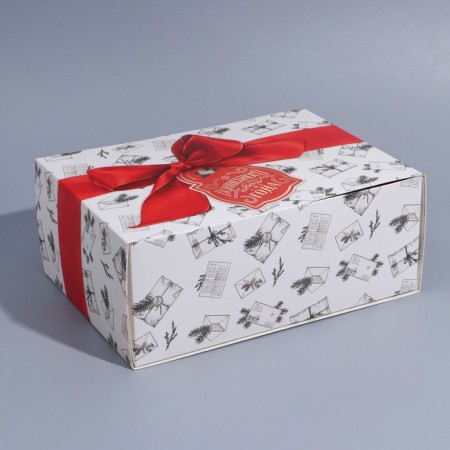 Box the team "New Year's Post", 25 x 18 x 10 cm, New Year-5