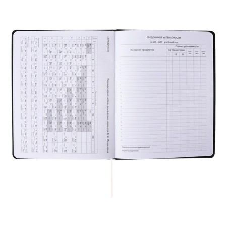 Universal diary for grade 1-11 Dark Brown, hard cover, artificial leather, foam rubber, lies, 80 g/m2-19