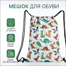 Bag for shoes on the lace, beige color/multi -colored