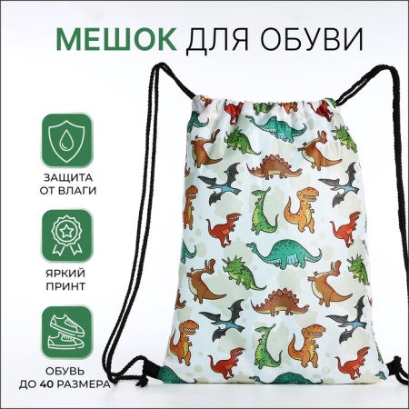 Bag for shoes on the lace, beige color/multi -colored