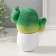 Growing gift Eco -Zhizhivchik "Cactus in a pot" White