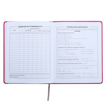 Universal Diary Grade 1-11, 48 sheets "Hare", a solid cover of artificial leather, silkography, OFSET block-11