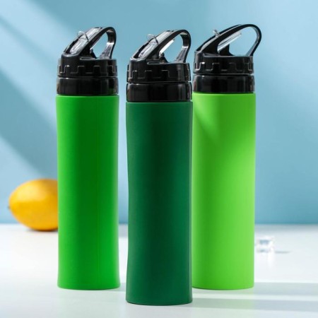Water bottle "Siley", 450 ml (silicone housing), Mix color-5