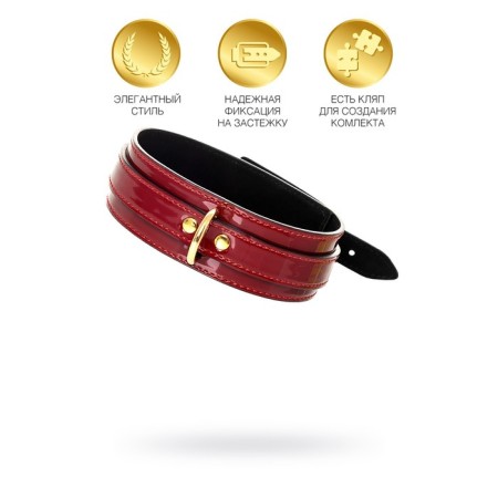Collar Toyfa Theatre, PU Skin, 41 cm, red color-7