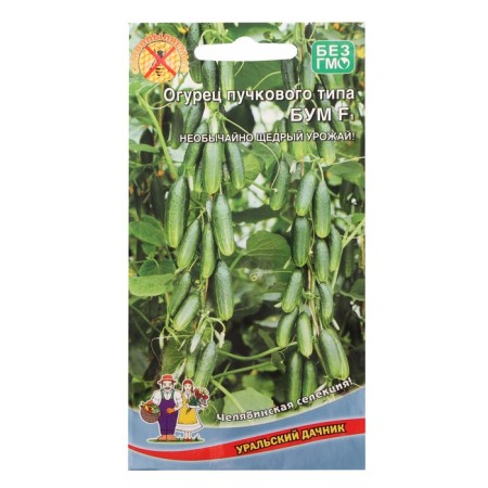 Cucumber seeds "BOM", F1, 5 pcs.