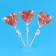Caramel Lollice "Heart Super Food" on a stick, 30 g