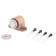 Magnetic limiter "Standard 926 AC, gun, European dash, color old copper