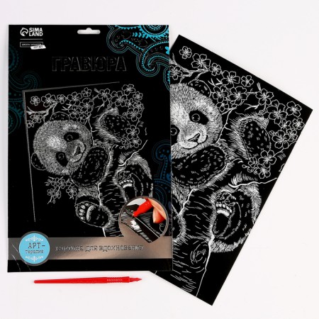 Engraving. Set of engravings "Animals", A4, 4 pcs-2