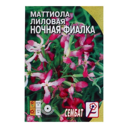 Flower seeds of mattiol lilac (night violet), 0.5 g