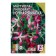 Flower seeds of mattiol lilac (night violet), 0.5 g