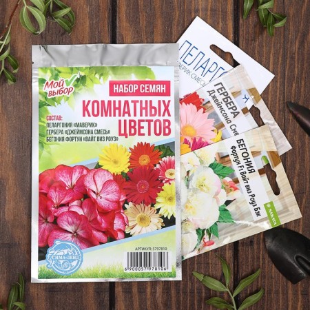Set of indoor flowers "Hit Sales"-7