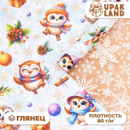 Packaging paper "owls", gloss, bilateral, 80 g/m2, 70 x 100 cm