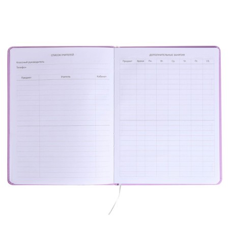 Universal diary for grade 1-11 "Mordashka.fanda", hard cover, artificial leather, foam rubber, liesse, 80 g/m2-5