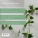 Mounts for climbing plants, 4*4 cm butterfly (set 10 pcs) self -adhesive