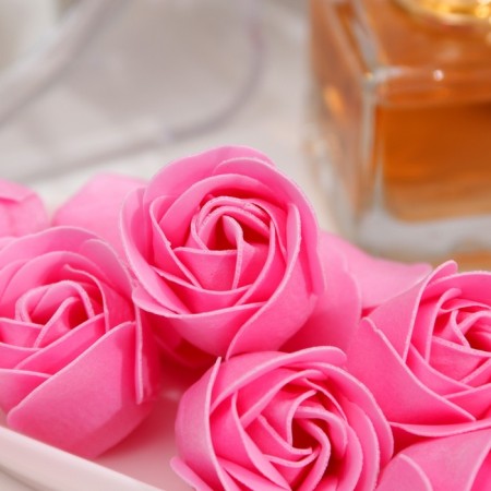 Soap rose, pink-3