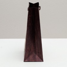 Gift laminated vertical package, packaging, “Congratulations on February 23”, S 12 x 15 x 5.5 cm