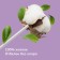 Baby cotton sticks 2B1 Mama Lubby, cone/universal, 100pcs