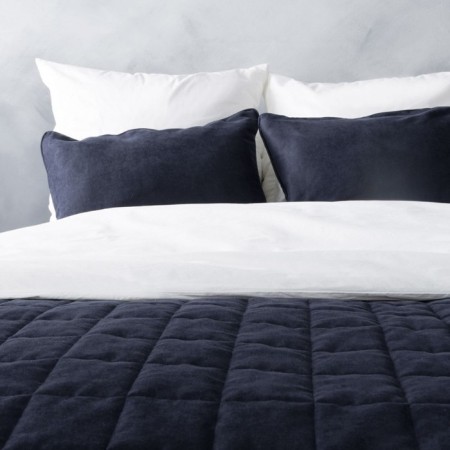Software "Soft": a bedspread 160 x 220 cm, pillowcase 40 x 40 cm - 2 pcs, the color is blue-1
