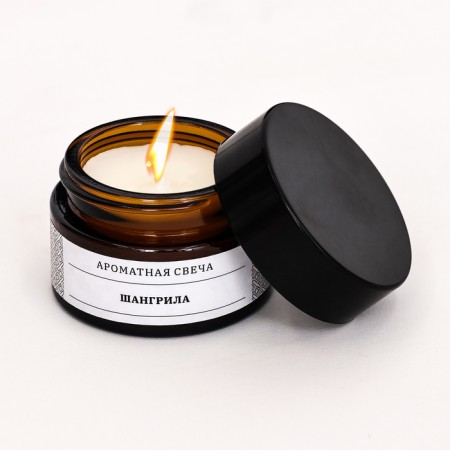 Aromatic candle in the Bank "Shagril", soy wax, 12 g-2