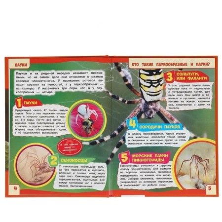 Spiders. Encyclopedia with developing tasks-1