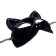 Carnival mask "Black cat"