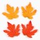 Set for creativity "Autumn crafts", in the grid