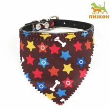 A collar with a scarf 