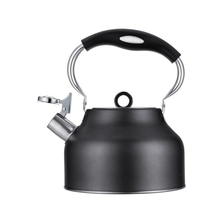 Teapot Regent Inox Tea, with a whistle, 2.5 l + a gift of a strain for brewing tea-2