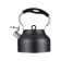 Teapot Regent Inox Tea, with a whistle, 2.5 l + a gift of a strain for brewing tea