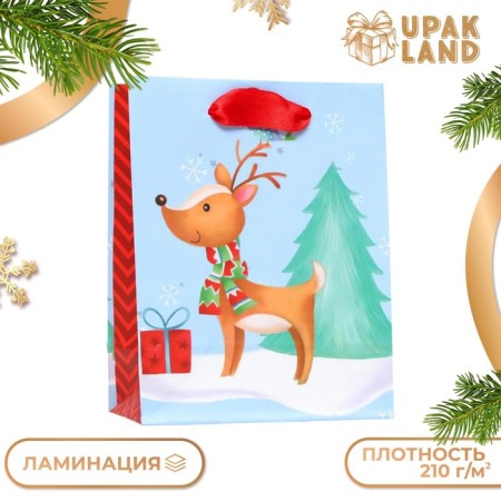 Laminated Packet "Christmas Deer" 11.5 x 14.5 x 6 cm-2