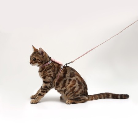 A set of ammunition with a toy, s, leash 120 x 1 cm, Osh 20-30, og 25-40 cm, pink-6