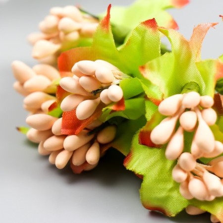 Flowers for decorating "Jasminovid oxen" 1 bouquet = 10 flowers peach 9.5 cm-2