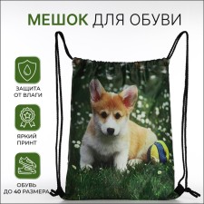 Bag for shoes on the lace, green color