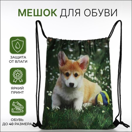 Bag for shoes on the lace, green color
