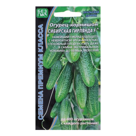 Siberian garland cucumber seeds F1 is early, parthenocarpic, 5 pcs
