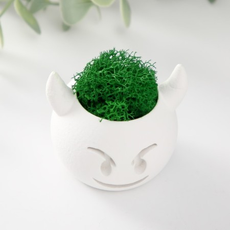 Kashpo concrete "devil" 6.5x6x5.5 cm white with moss (moss green. Stabilizir)-4
