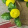 Fliper "Link 5 lemons" 50 cm (lemon size 7x5 cm)
