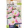 Eustoma flower seeds "sapphire" Pink Rome, o, 5 pcs.