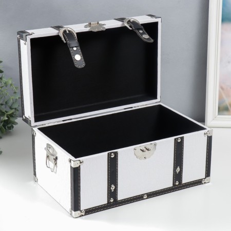 Casket wood to the leatherette "chest with belts" white 19x21x35 cm-2