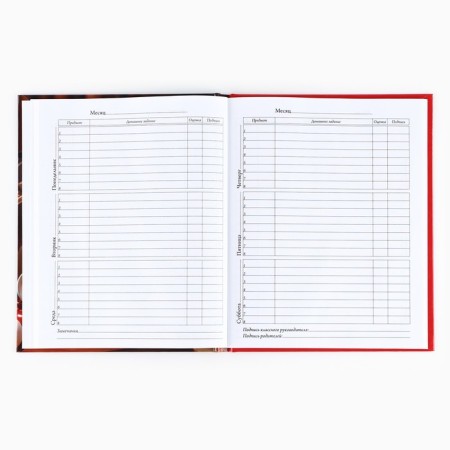School diary for grade 1-11, in a solid cover, 40 l. "Fluff"-3