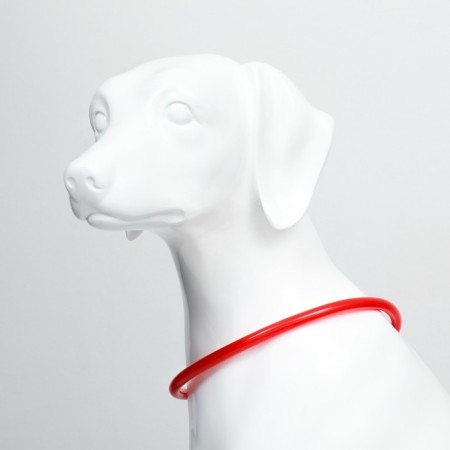 Collar - highlight ring, charging from USB, up to 70 cm, 3 glow modes, red-2