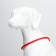 Collar - highlight ring, charging from USB, up to 70 cm, 3 glow modes, red