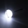 Bayerlux Lamp "Odette" LED 3W black 8x8x120 cm.
