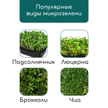 Coconut fiber rug, for growing microwaves, 50 × 25 cm, Greengo-12