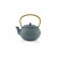 Hot teapot yuan 0.9 l