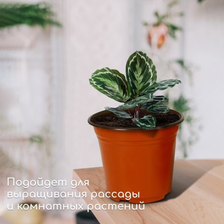 Pot for seedlings, 3.5 l, d = 20.5 cm, h = 17 cm, greengo-2
